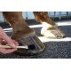 Hoof Sealants & Hardeners