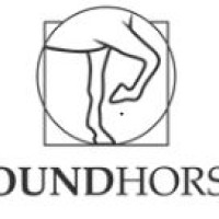 SoundHorse