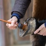 Hoof Care Products