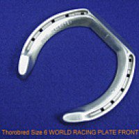 World Racing Plate