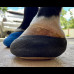 FOOTPRO WOODEN SHOE 0