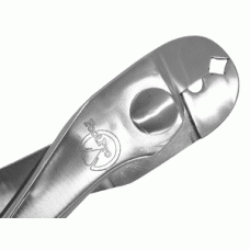 FootPro Nail Puller Polished