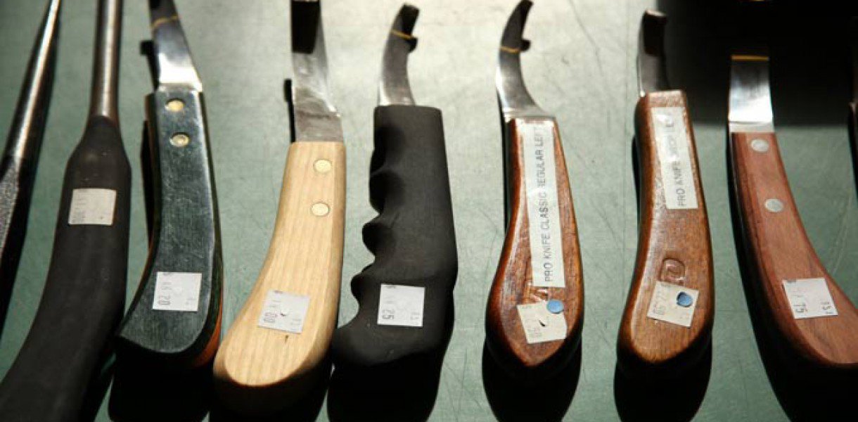 Professional Farrier Supply Shop Tour in Orangeville, Ontario